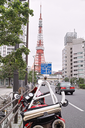 110625-120823-DP2x-SIGMA DP2X.jpg
