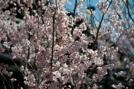 20120327 114854 M9 Digital Camera.jpg