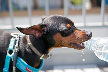 20120513 130214 NIKON D700.jpg