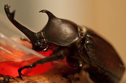 DSC_0432-NIKON D700.jpg