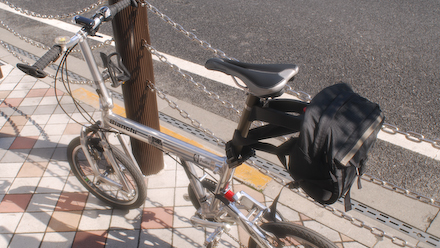 DSC_1155-1.jpg
