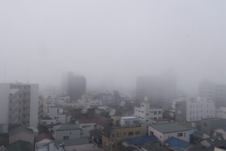 DSC_1873-1.jpg