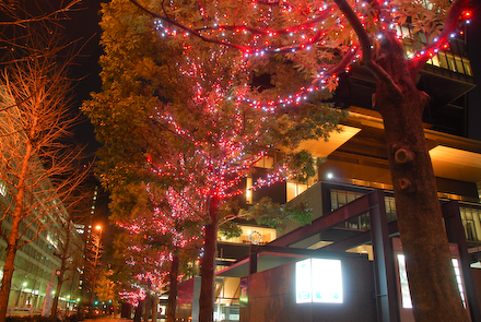 DSC_3936-2.jpg
