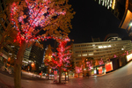 DSC_3948-3.jpg