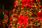 DSC_3957-3.jpg