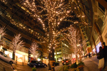 DSC_4037-3.jpg