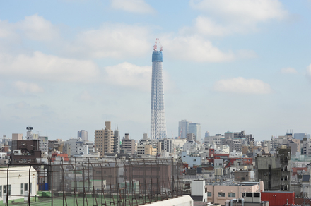 DSC_5117-3.jpg