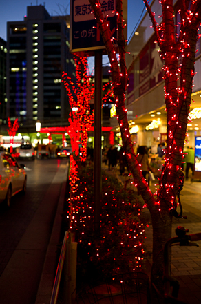 L1015419-M9 Digital Camera.jpg