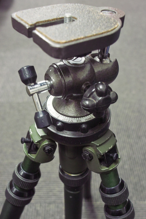 SDIM4007_DP1.jpg
