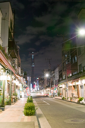 SDIM4746-SIGMA DP2S.jpg