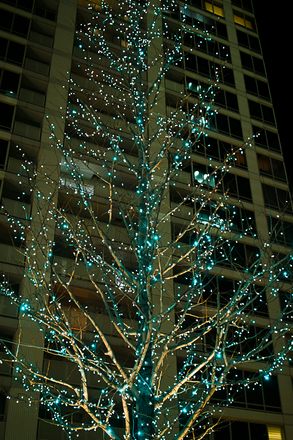 SDIM4795-SIGMA DP2S.jpg